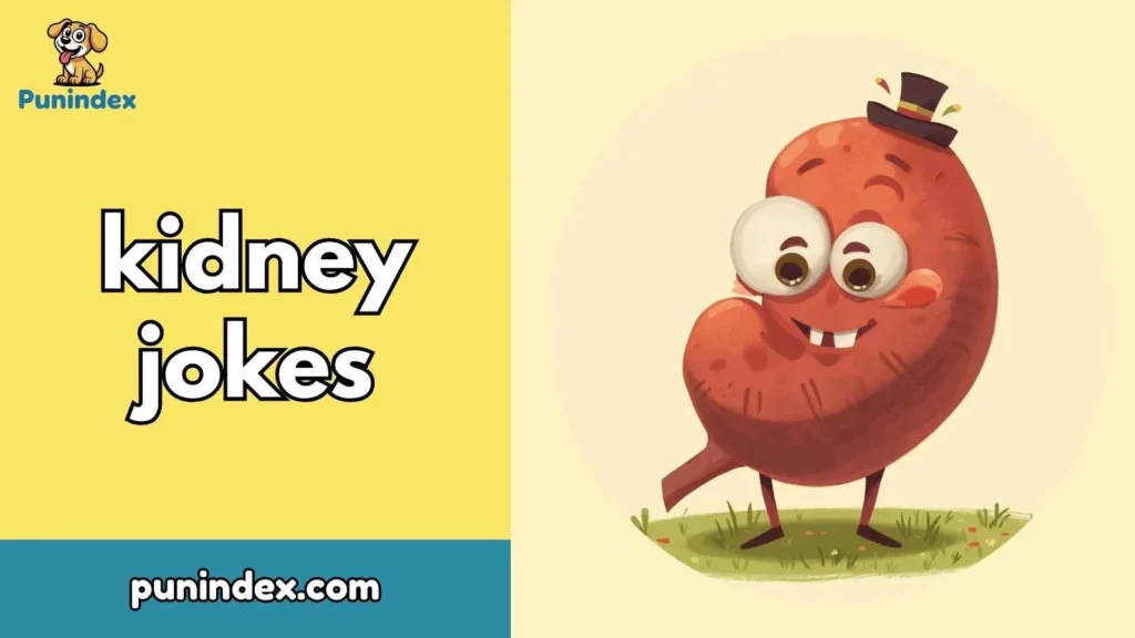 kidney jokes