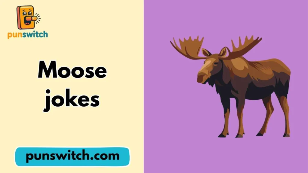 Moose jokes
