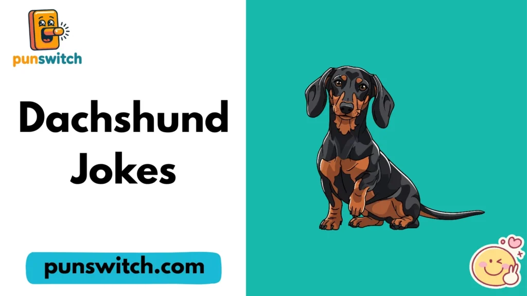 Dachshund Jokes