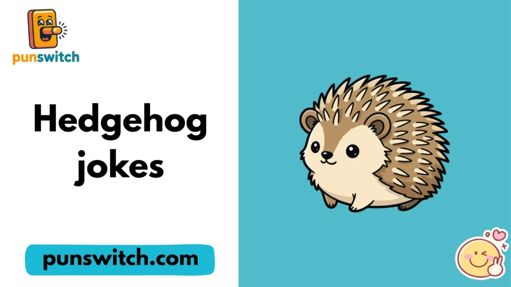Hedgehog jokes
