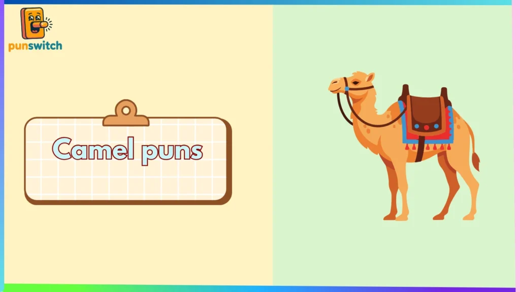 Camel puns