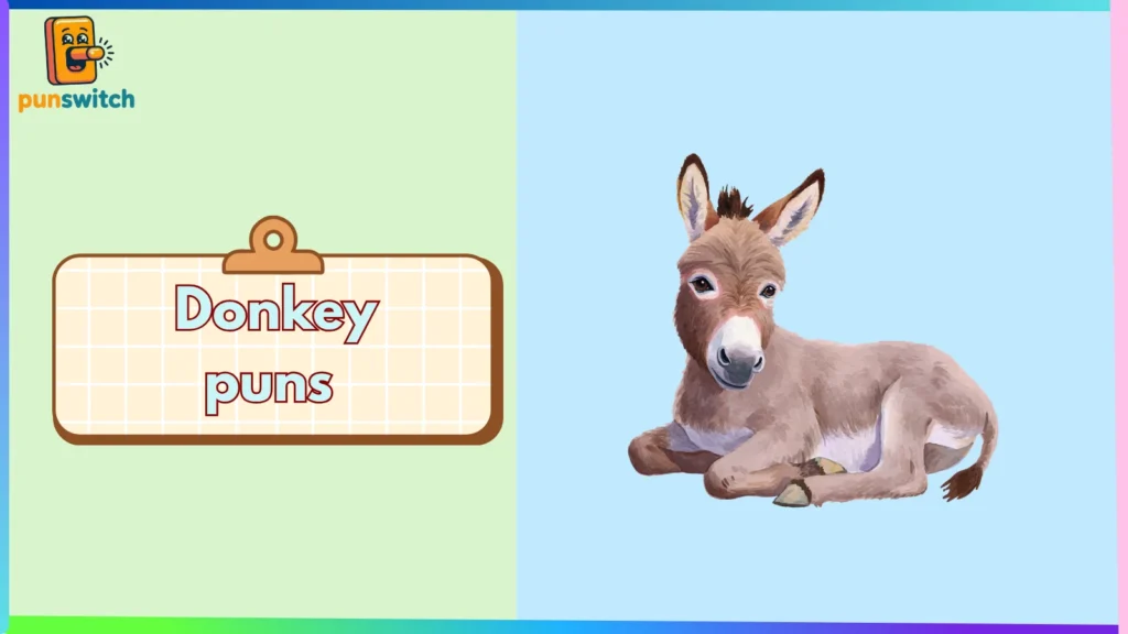 Donkey puns
