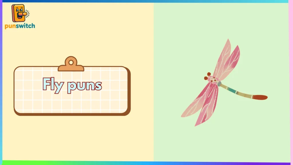 Fly puns