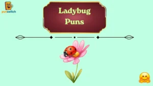 Ladybug Puns