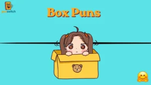 Box Puns