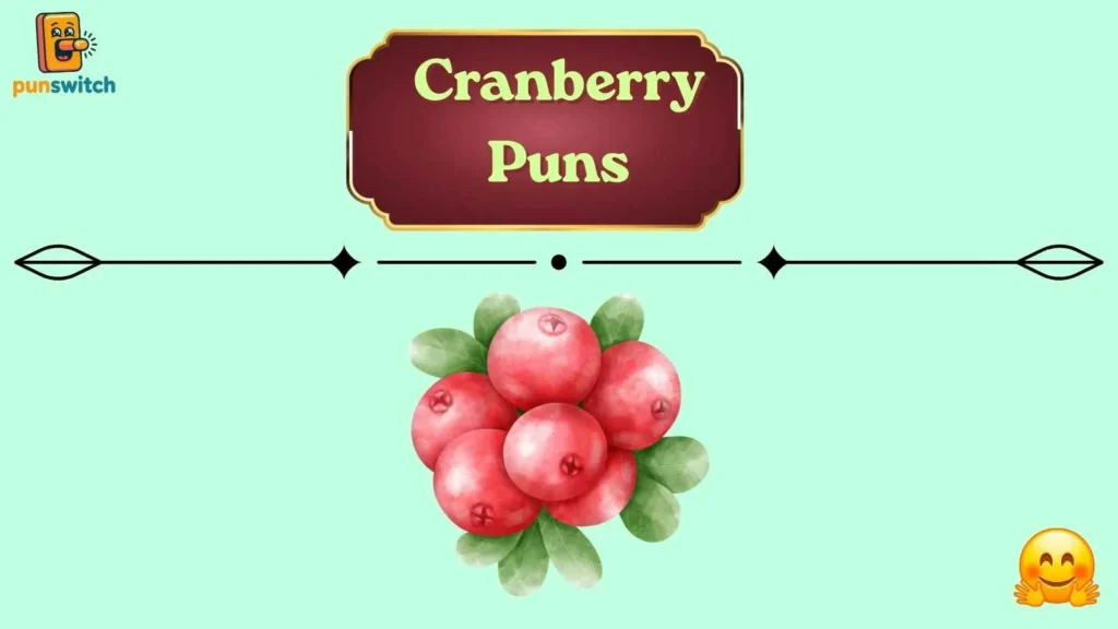 Cranberry Puns