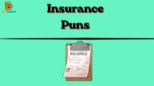 Insurance Puns