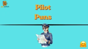 Pilot Puns