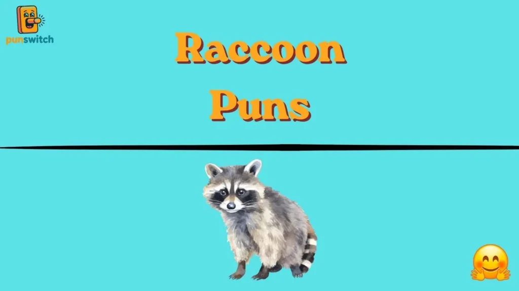 Raccoon Puns