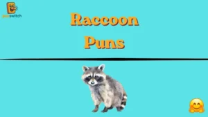 Raccoon Puns
